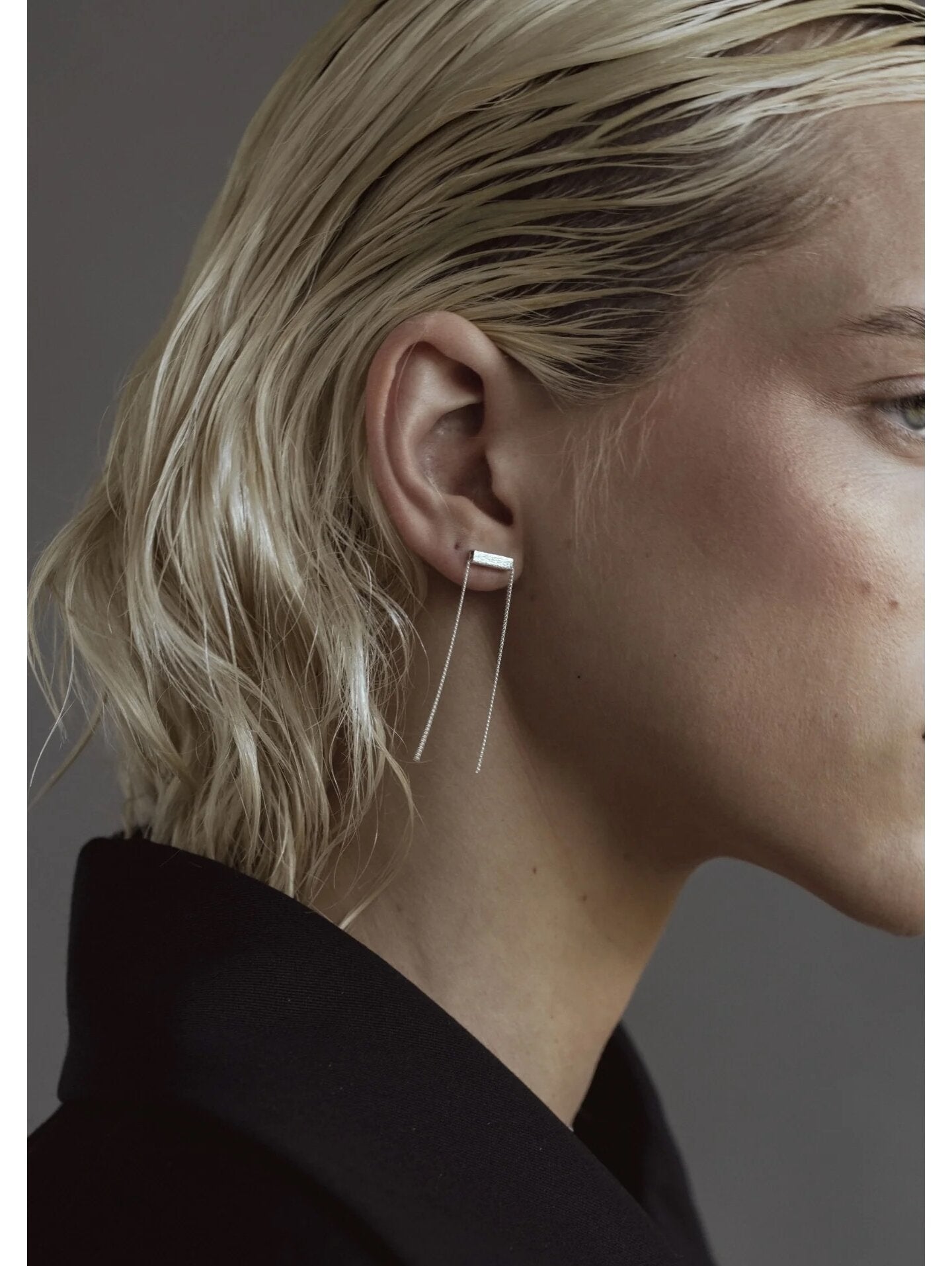 Sudraba Chunnel kniedīšu auskari – minimālisms